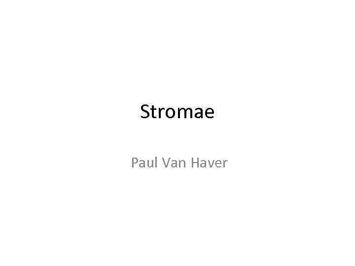 Stromae Paul Van Haver 