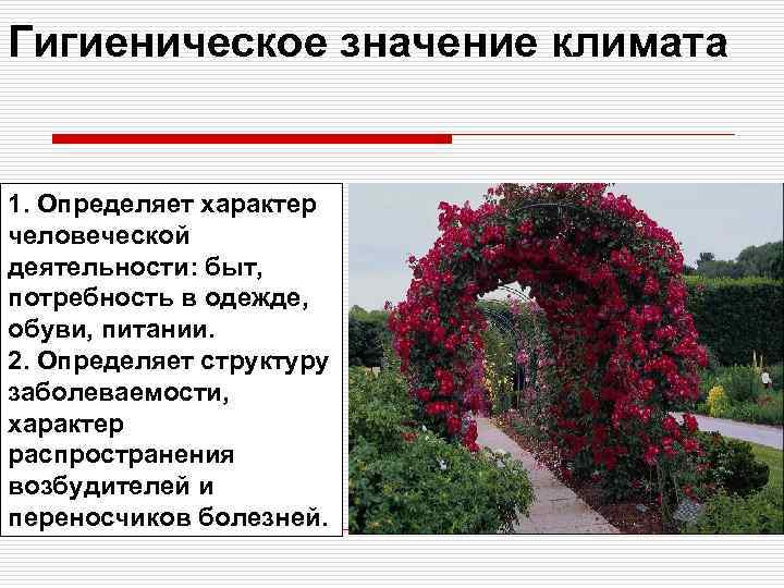 Гигиеническое значение климата 1. Определяет характер человеческой деятельности: быт, потребность в одежде, обуви, питании.