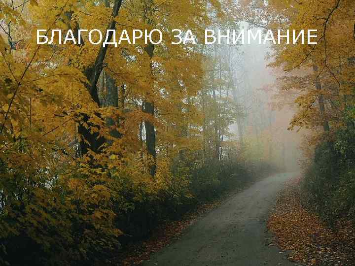 БЛАГОДАРЮ ЗА ВНИМАНИЕ 