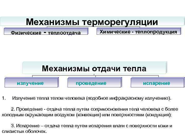 Механизмы терморегуляции Физические - теплоотдача Химические - теплопродукция Механизмы отдачи тепла излучение 1. проведение