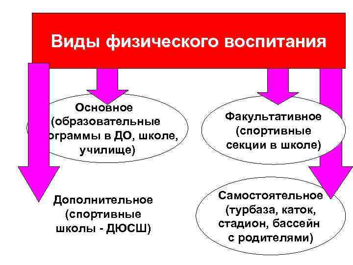 Виды физического воспитания Основное (образовательные программы в ДО, школе, училище) Факультативное (спортивные секции в