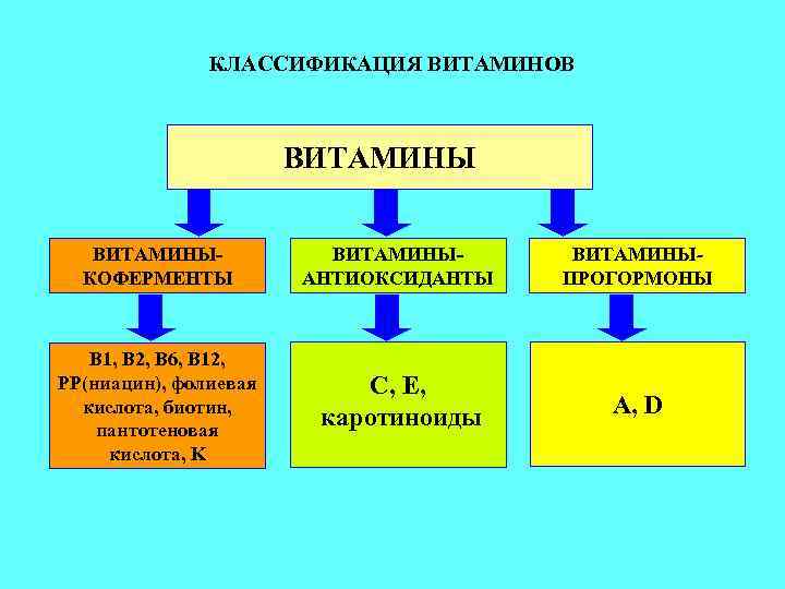 КЛАССИФИКАЦИЯ ВИТАМИНОВ ВИТАМИНЫ- КОФЕРМЕНТЫ ВИТАМИНЫ- АНТИОКСИДАНТЫ ВИТАМИНЫПРОГОРМОНЫ B 1, B 2, B 6, B