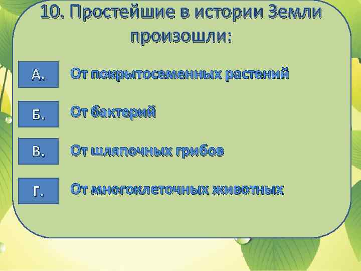 10. Простейшие в истории Земли произошли: А. От покрытосеменных растений Б. От бактерий В.