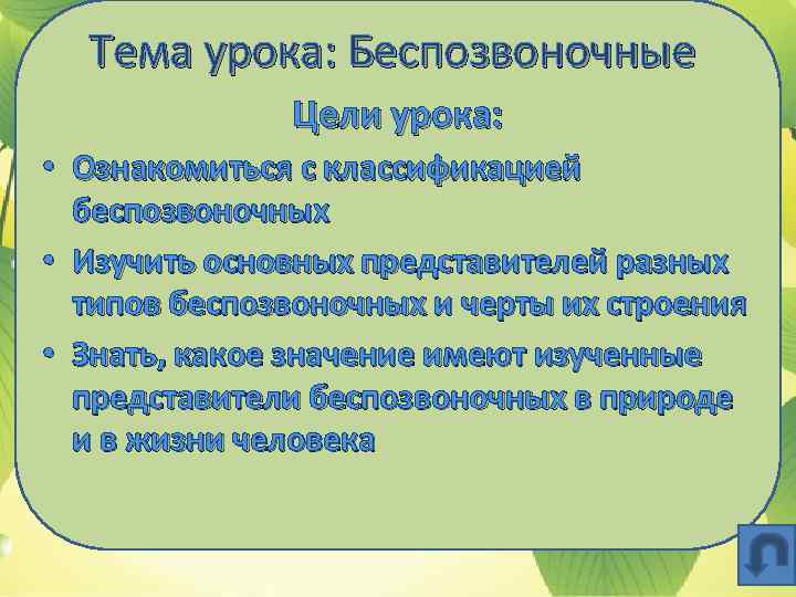 Тема урока: Беспозвоночные Цели урока: • Ознакомиться с классификацией беспозвоночных • Изучить основных представителей