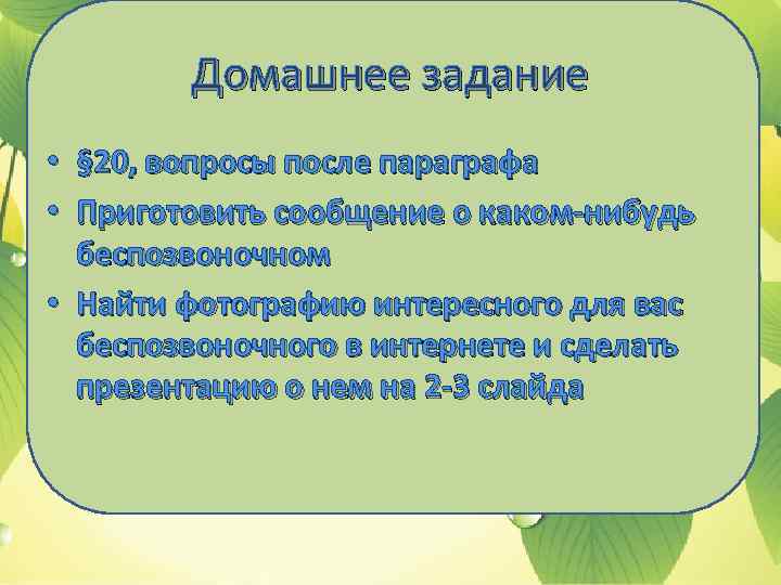 Домашнее задание • § 20, вопросы после параграфа • Приготовить сообщение о каком-нибудь беспозвоночном