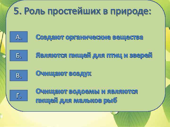 5. Роль простейших в природе: А. Создают органические вещества Б. Являются пищей для птиц