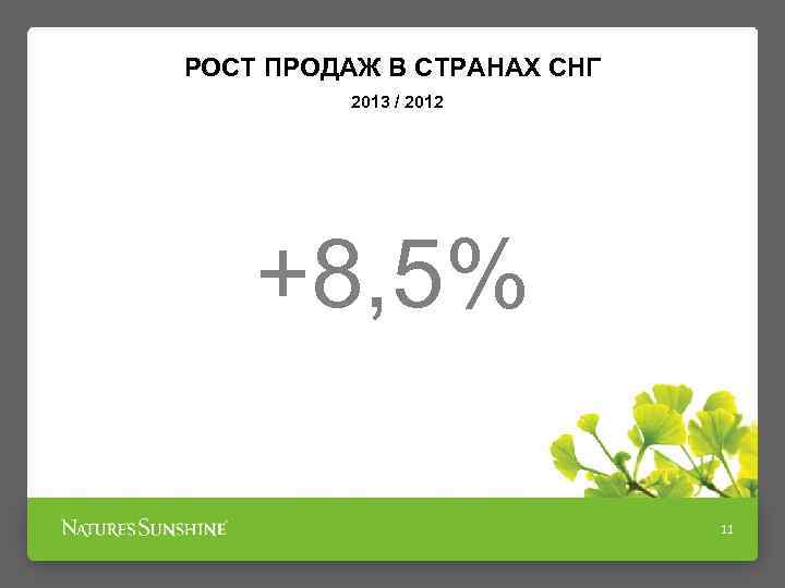 РОСТ ПРОДАЖ В СТРАНАХ СНГ 2013 / 2012 +8, 5% 11 