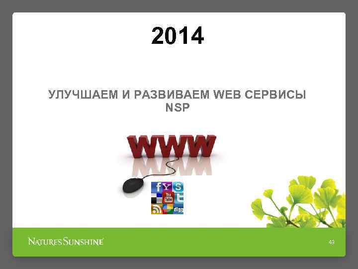 2014 УЛУЧШАЕМ И РАЗВИВАЕМ WEB СЕРВИСЫ NSP 43 