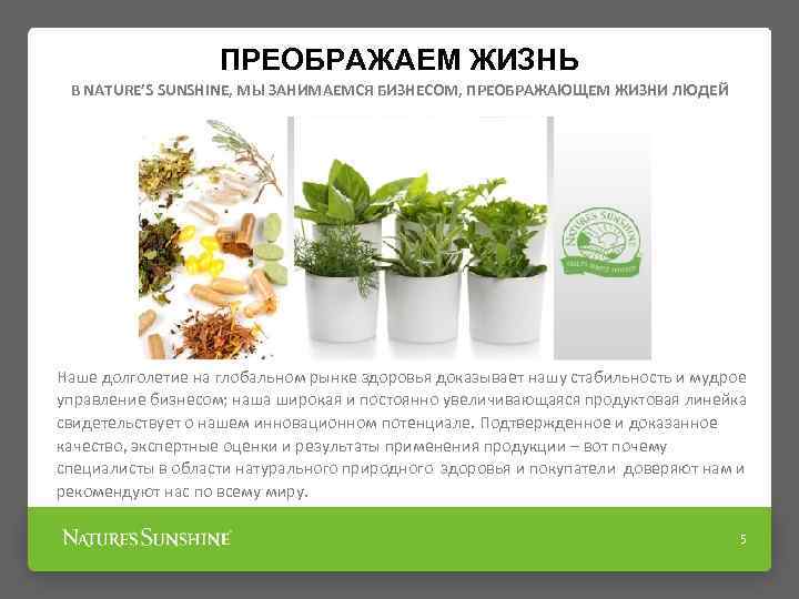 ПРЕОБРАЖАЕМ ЖИЗНЬ В NATURE’S SUNSHINE, МЫ ЗАНИМАЕМСЯ БИЗНЕСОМ, ПРЕОБРАЖАЮЩЕМ ЖИЗНИ ЛЮДЕЙ Наше долголетие на