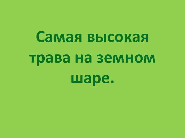  Самая высокая трава на земном шаре. 