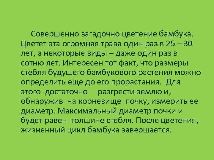  Совершенно загадочно цветение бамбука. Цветет эта огромная трава один раз в 25 –