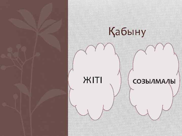 Қабыну ЖІТІ СОЗЫЛМАЛЫ 