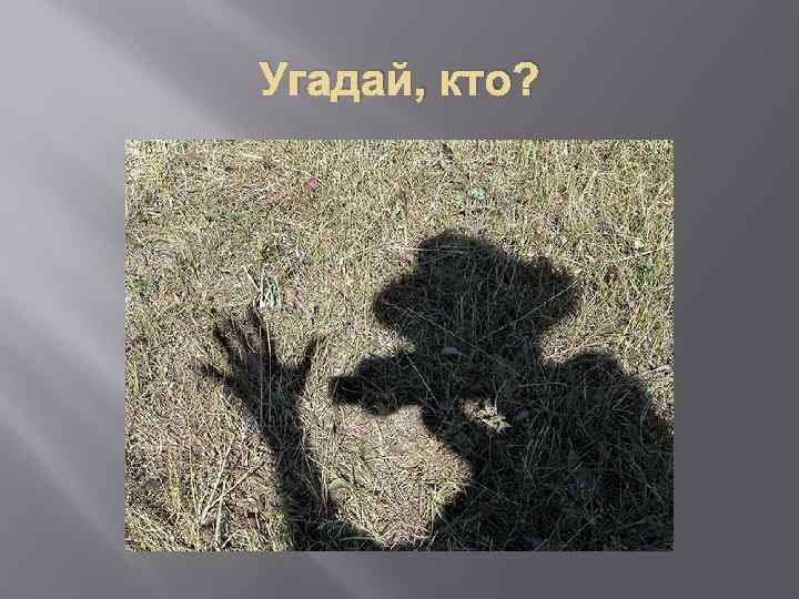 Угадай, кто? 