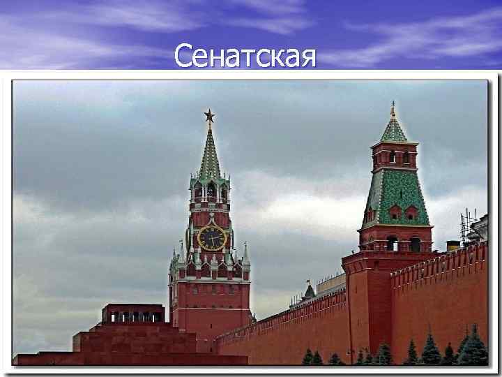 Сенатская 