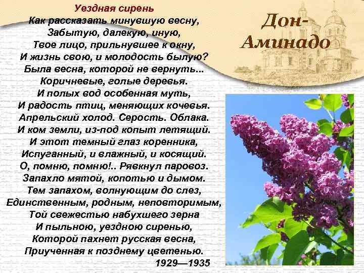 Уездная сирень Как рассказать минувшую весну, Забытую, далекую, иную, Твое лицо, прильнувшее к окну,