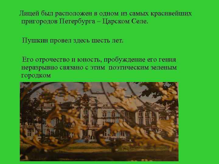 Лицей был расположен в одном из самых красивейших пригородов Петербурга – Царском Селе. Пушкин