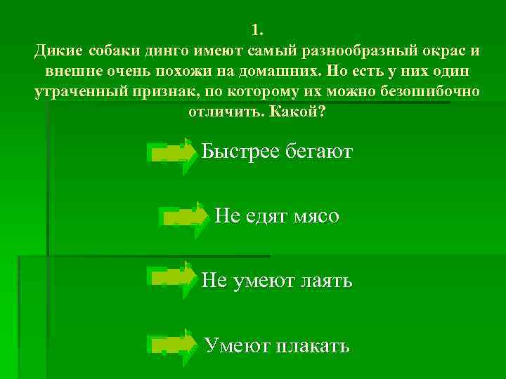 1. Дикие собаки динго имеют самый разнообразный окрас и внешне очень похожи на домашних.