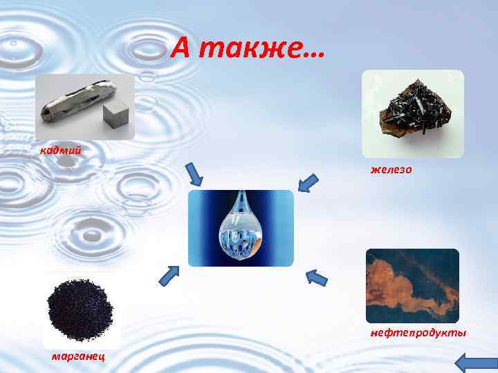 А также… кадмий железо нефтепродукты марганец 