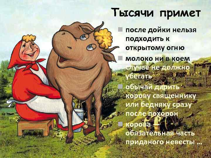 Тысячи примет n после дойки нельзя подходить к открытому огню n молоко ни в