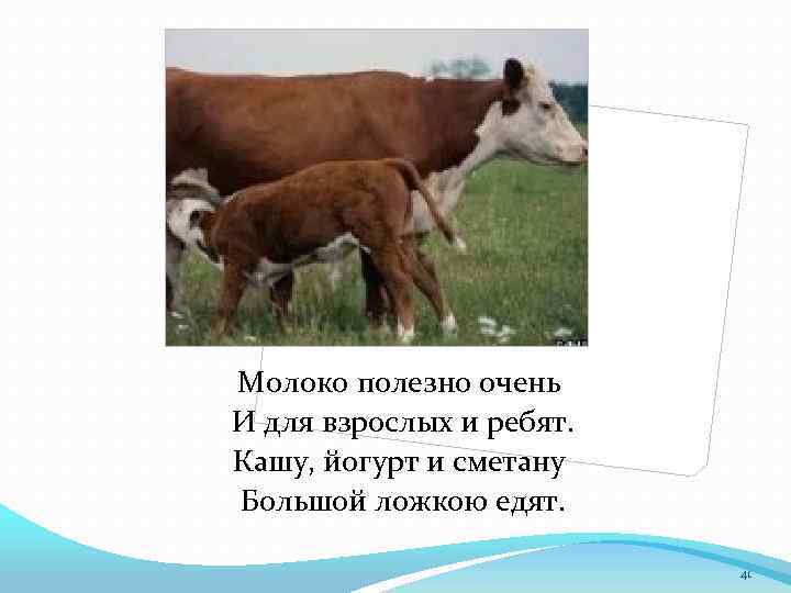 Молоко полезно очень И для взрослых и ребят. Кашу, йогурт и сметану Большой ложкою