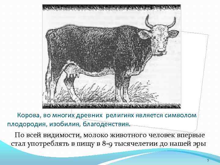 Корова, во многих древних религиях является символом плодородия, изобилия, благоденствия. По всей видимости, молоко