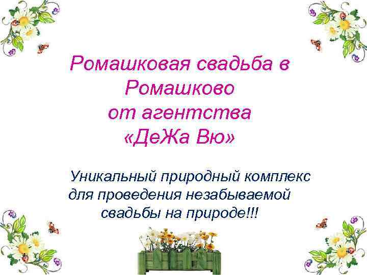 Ромашковая свадьба в Ромашково от агентства «Де. Жа Вю» Уникальный природный комплекс для проведения