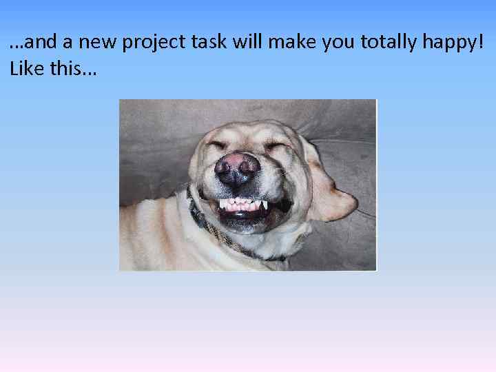 …and a new project task will make you totally happy! Like this… 