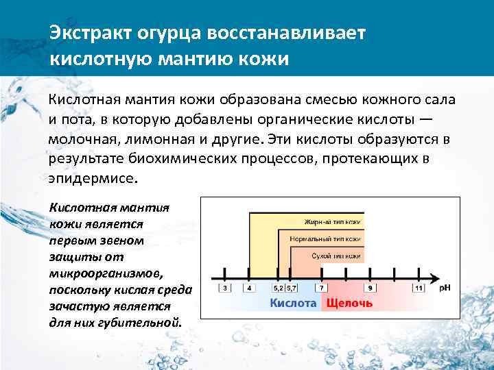 Экстракт огурца восстанавливает кислотную мантию кожи Кислотная мантия кожи образована смесью кожного сала и