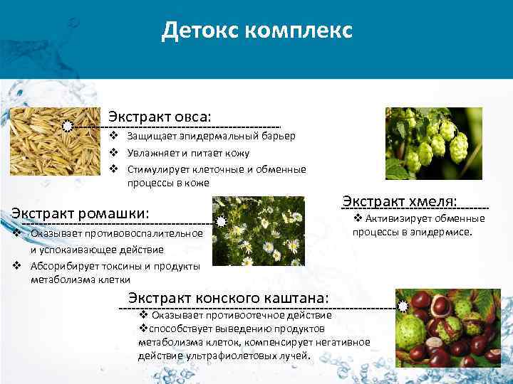 Детокс комплекс Экстракт овса: v Защищает эпидермальный барьер v Увлажняет и питает кожу v