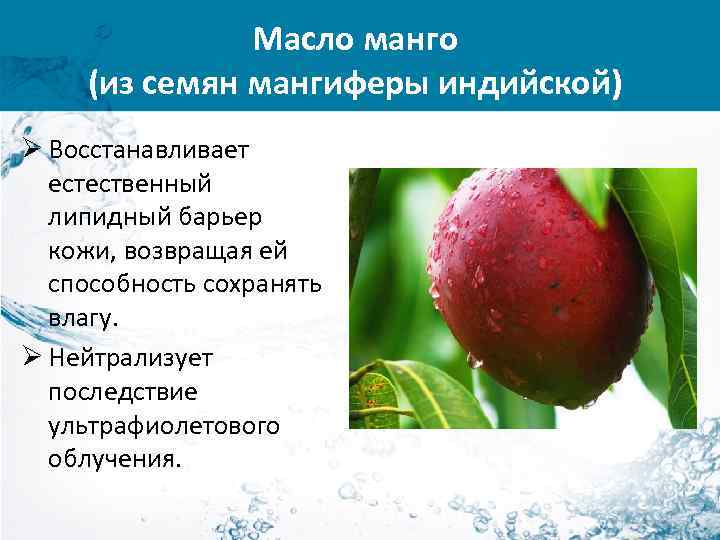 Масло манго (из семян мангиферы индийской) Ø Восстанавливает естественный липидный барьер кожи, возвращая ей