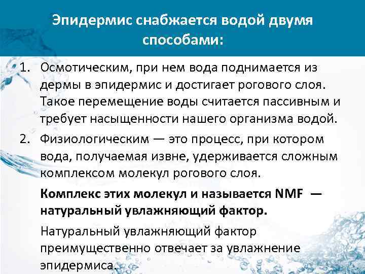 Эпидермис снабжается водой двумя способами: 1. Осмотическим, при нем вода поднимается из дермы в
