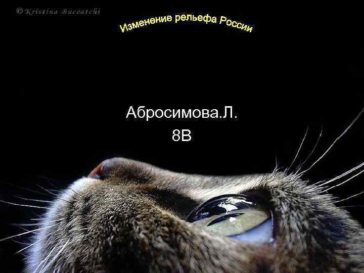 Абросимова. Л. 8 В 