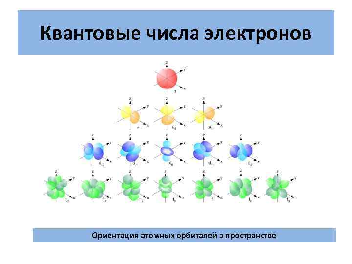 Какое квантовое число характеризует направление электронного облака