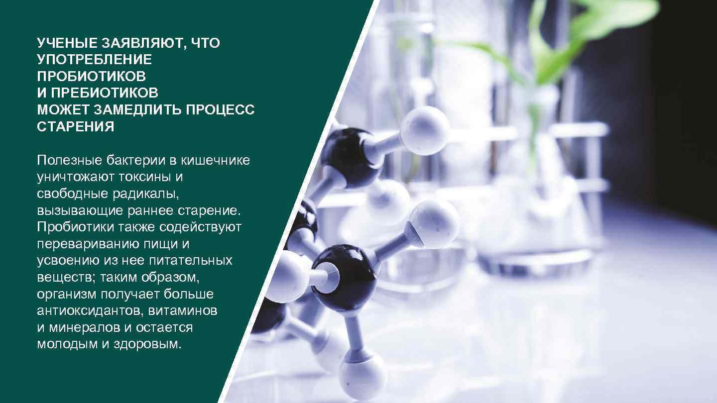 УЧЕНЫЕ ЗАЯВЛЯЮТ, ЧТО УПОТРЕБЛЕНИЕ ПРОБИОТИКОВ И ПРЕБИОТИКОВ МОЖЕТ ЗАМЕДЛИТЬ ПРОЦЕСС СТАРЕНИЯ Полезные бактерии в