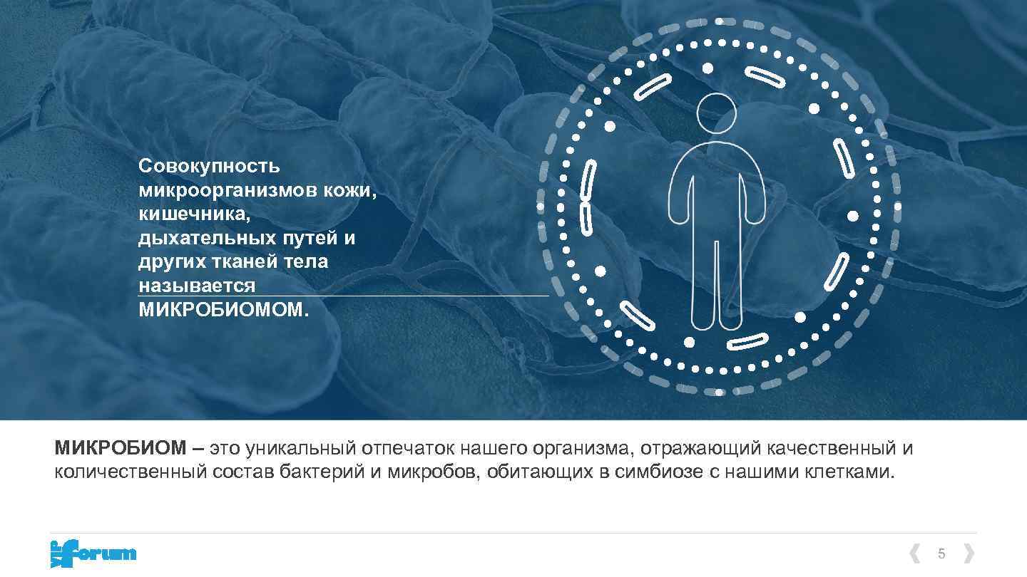 Совокупность микроорганизмов кожи, кишечника, дыхательных путей и других тканей тела называется МИКРОБИОМОМ. МИКРОБИОМ –