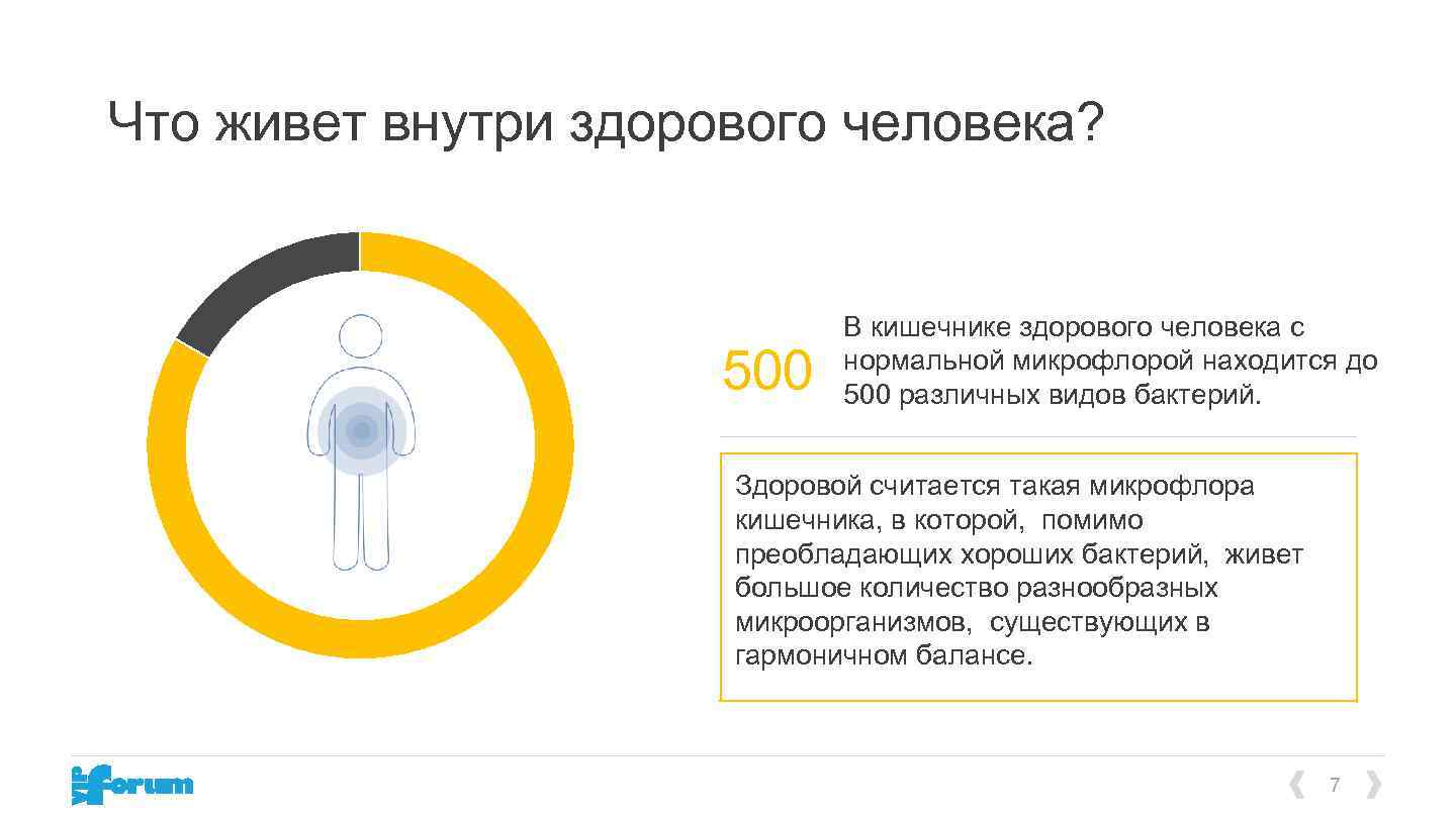 Что живет внутри здорового человека? 500 В кишечнике здорового человека с нормальной микрофлорой находится