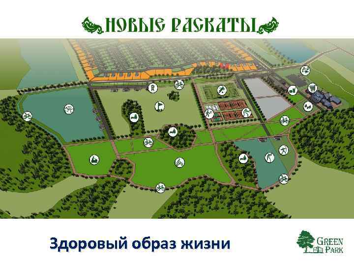 Здоровый образ жизни 