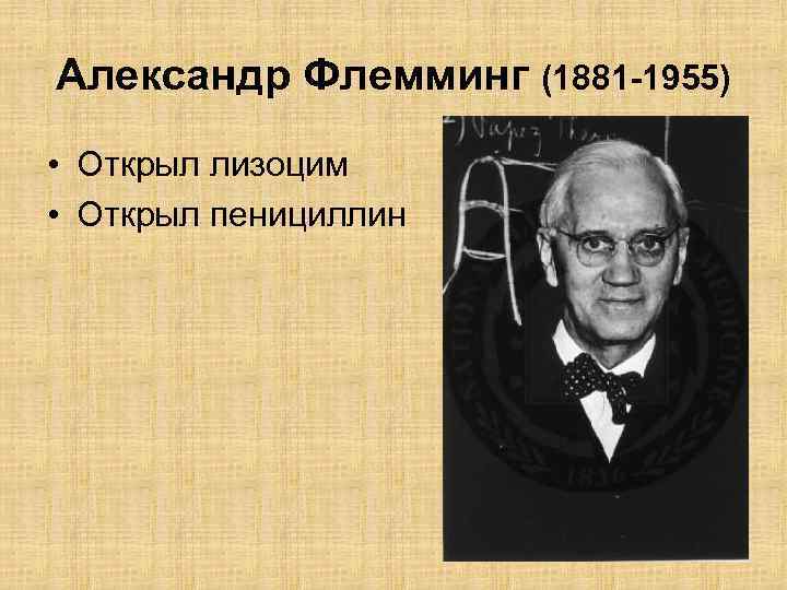 Александр Флемминг (1881 -1955) • Открыл лизоцим • Открыл пенициллин 