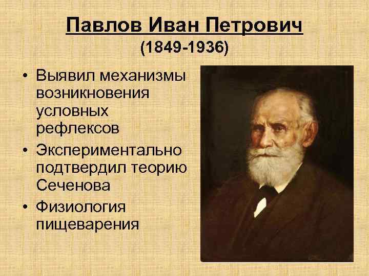 Павлов Иван Петрович (1849 -1936) • Выявил механизмы возникновения условных рефлексов • Экспериментально подтвердил
