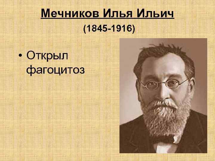 Мечников Илья Ильич (1845 -1916) • Открыл фагоцитоз 