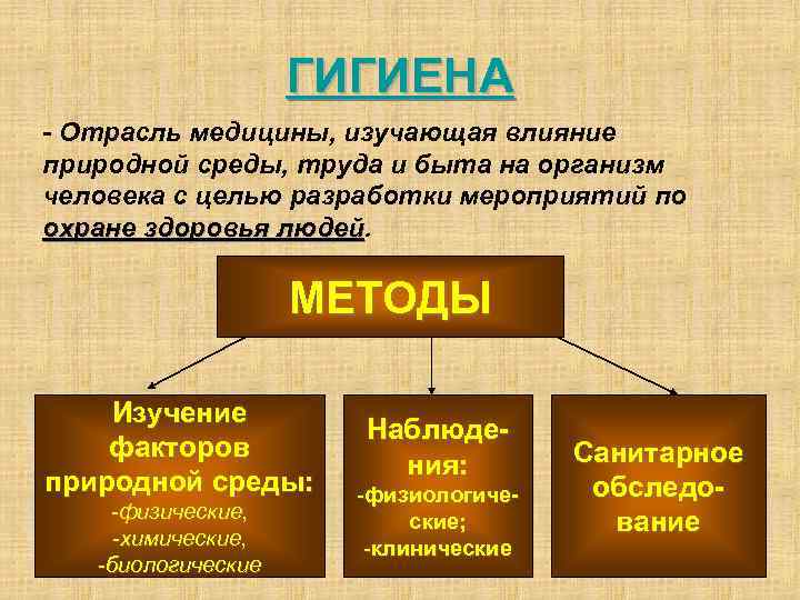 ГИГИЕНА - Отрасль медицины, изучающая влияние природной среды, труда и быта на организм человека