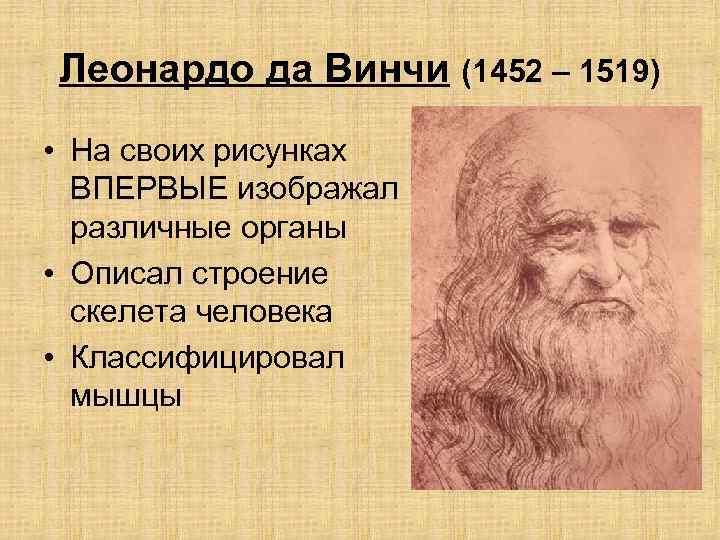 Леонардо да Винчи (1452 – 1519) • На своих рисунках ВПЕРВЫЕ изображал различные органы