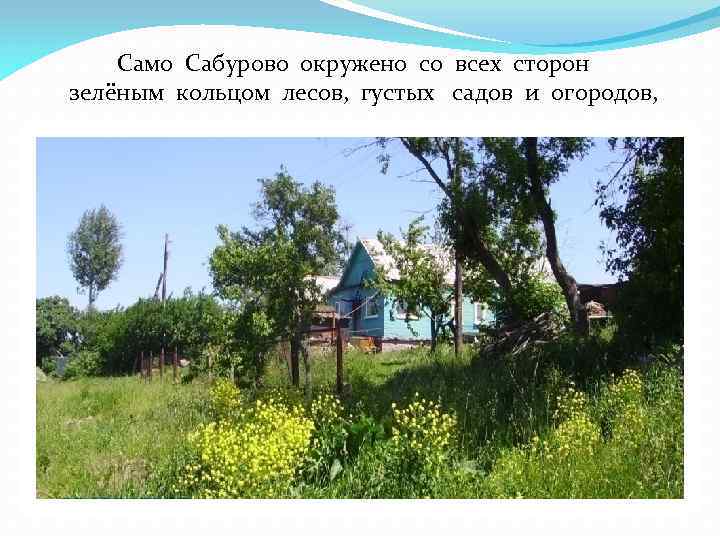 Само Сабурово окружено со всех сторон зелёным кольцом лесов, густых садов и огородов, 