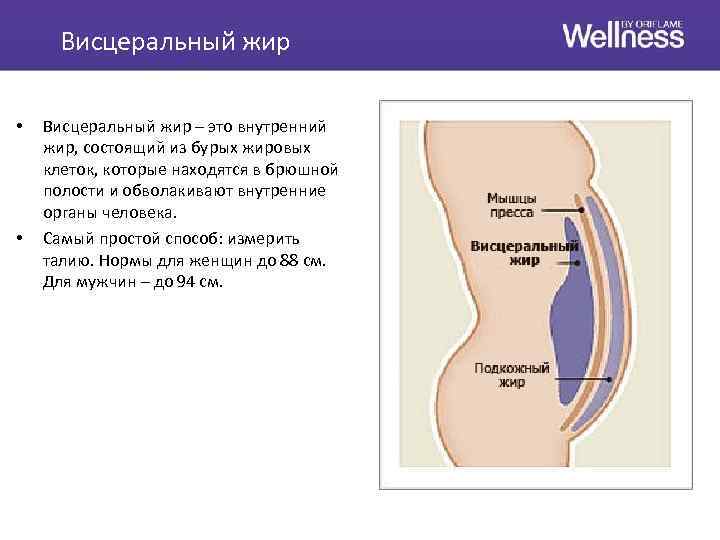 Внутри жир условие