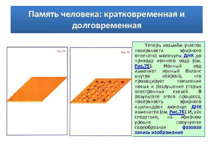 Память человека: кратковременная и долговременная Теперь возьмём участок поверхности эфирного отпечатка молекулы ДНК до