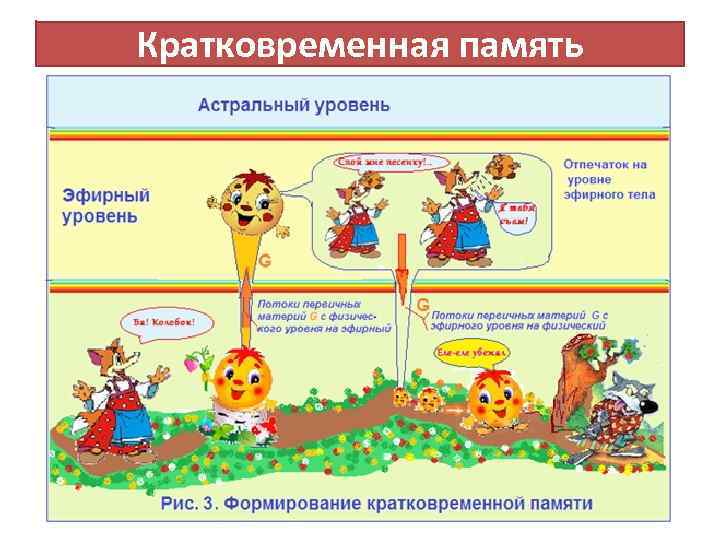 Кратковременная память 