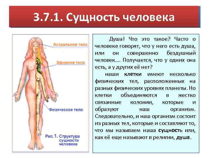3. 7. 1. Сущность человека Душа! Что это такое? Часто о человеке говорят, что