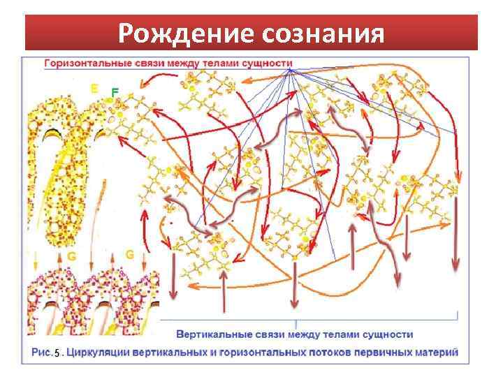 Рождение сознания 