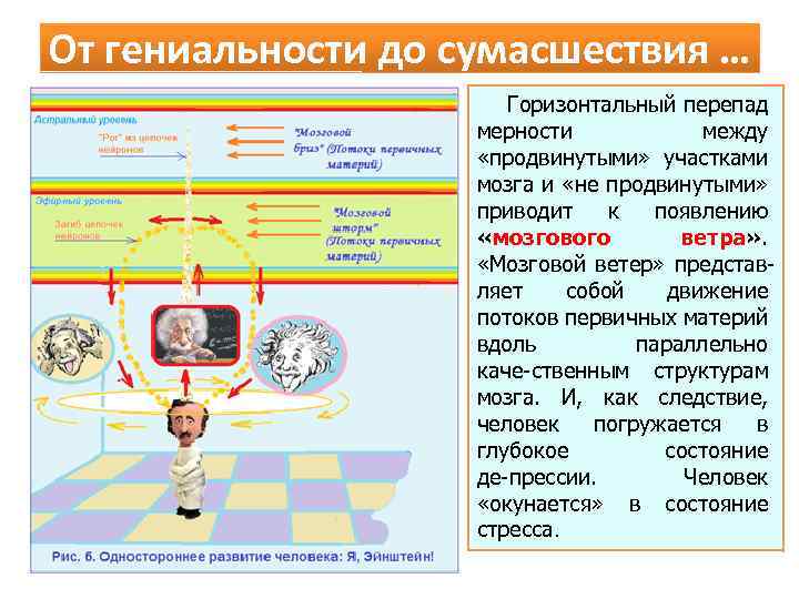 От гениальности до сумасшествия … Горизонтальный перепад мерности между «продвинутыми» участками мозга и «не