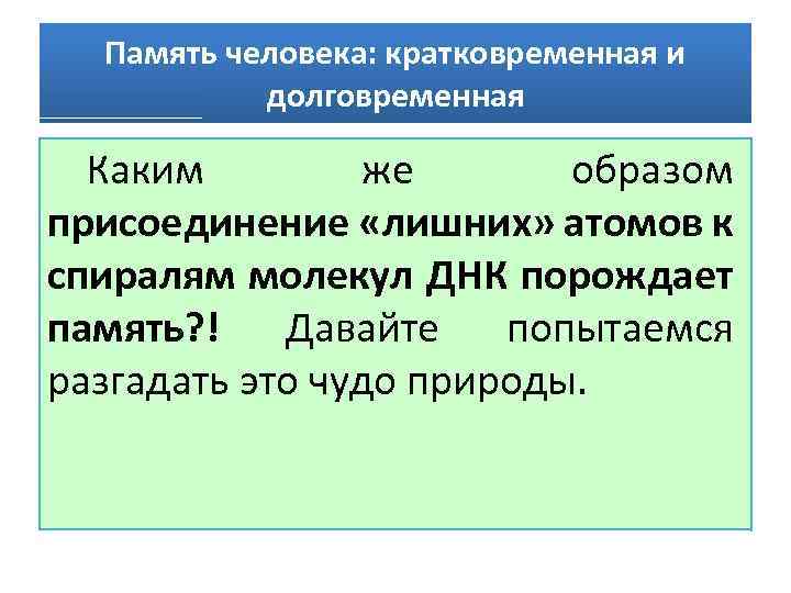 Память человека: кратковременная и долговременная Каким же образом присоединение «лишних» атомов к спиралям молекул